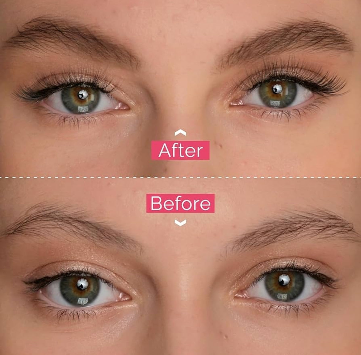 Eyebrow Tint 2 in 1 Brow Kit